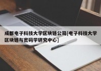 成都电子科技大学区块链公司[电子科技大学区块链与密码学研究中心]