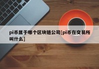 pi币属于哪个区块链公司[pi币在交易所叫什么]
