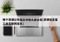 哪个浪潮公司是区块链头部企业[浪潮信息是工业互联网龙头]